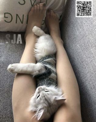 又色又爽又黄又视频毛片_BD韩语免费在线播放