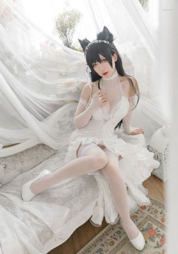 三级毛片av_BD免费观看超清