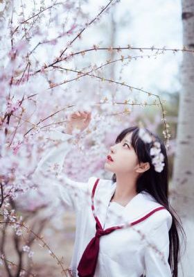 a级高清免费毛片av无码_1080P在线观看